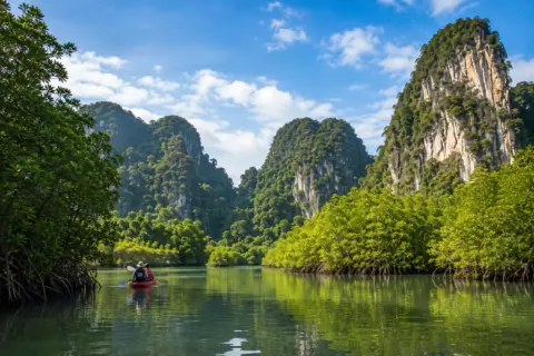 Mangroves, limestone karsts and kayaking at Ao Thalane